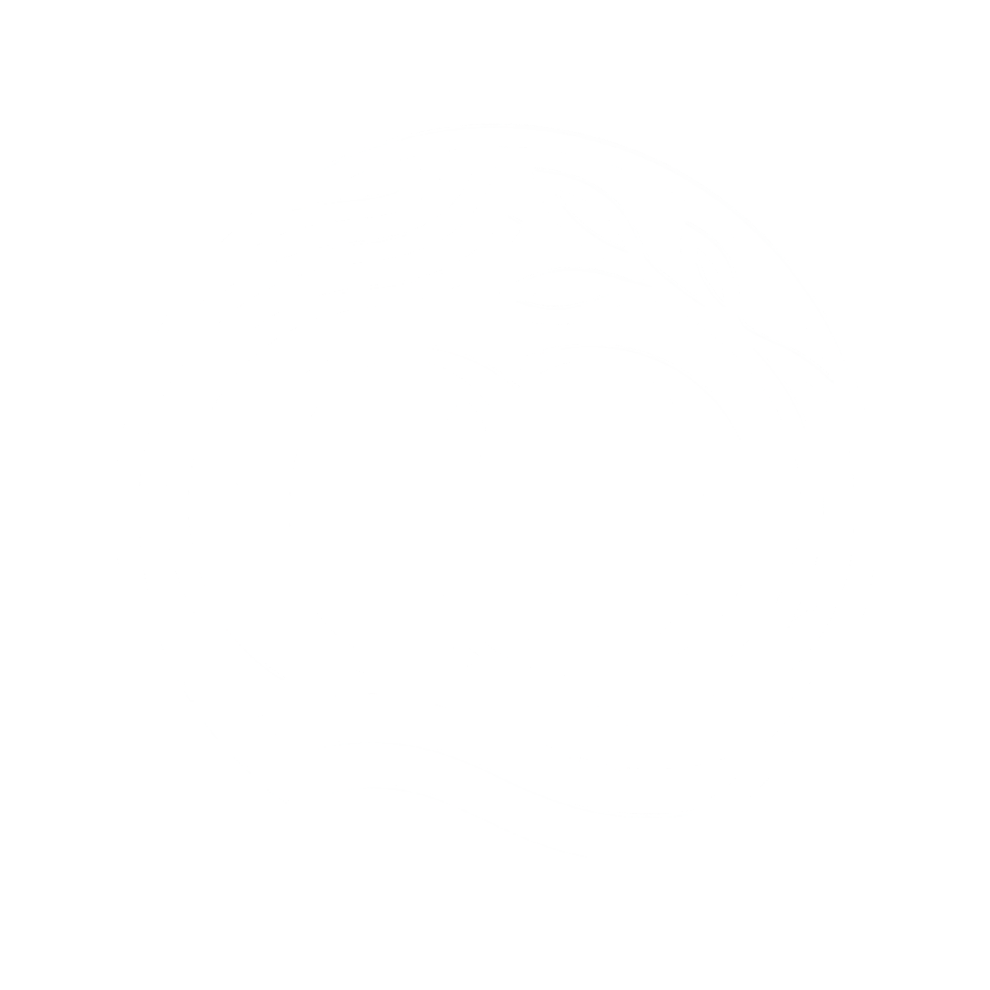 ORA Origins